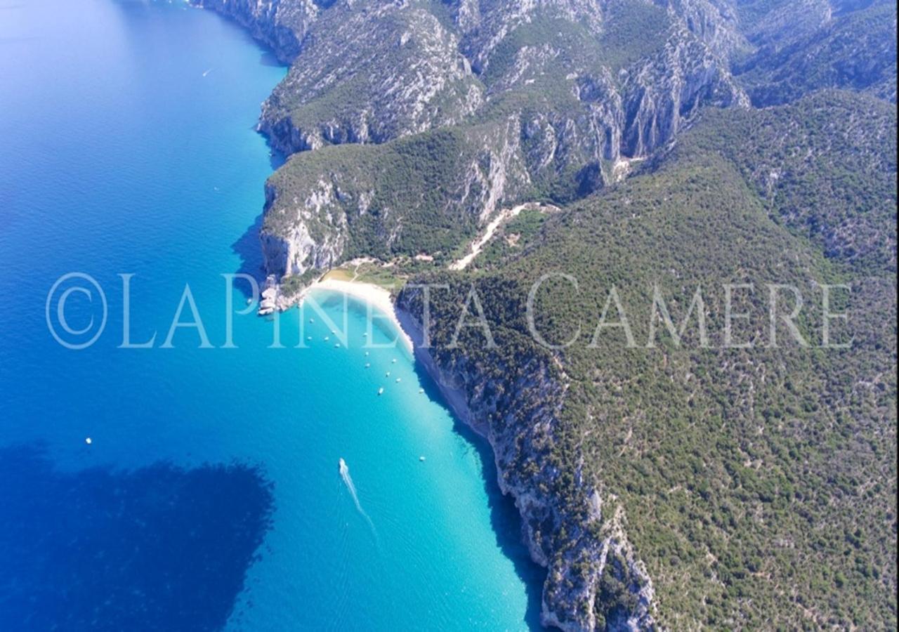 Casa Vacanza Gelsomino Кала-Гононе Экстерьер фото